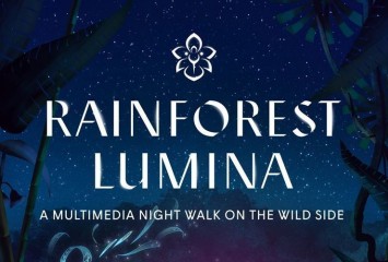 Световое шоу Rainforest Lumina