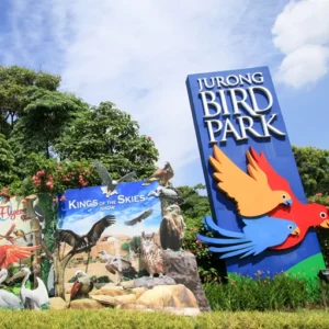 Парк птиц Сингапура - Экскурсии в Сингапуре