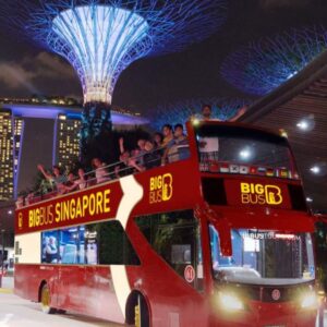 Singapore bus trip