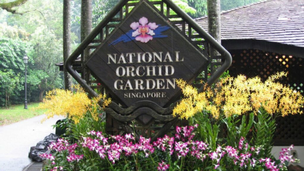 Аттракционы в Сингапуре -Национальный сад орхидей