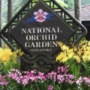 Аттракционы в Сингапуре -Национальный сад орхидей