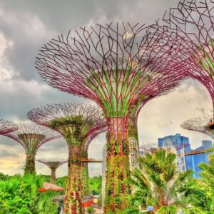 Сады у залива + колесо обозрения или смотровая площадка - Экскурсии в Сингапуре