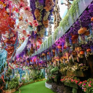 Аттракционы в Сингапуре - Цветочная фантазия (Floral Fantasy)