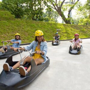 Аттракционы в Сингапуре - Skyline Luge Sentosa (3 поездки)