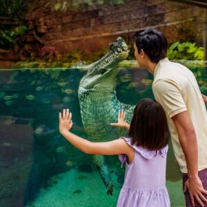 Аттракционы в Сингапуре - Парк River Wonders