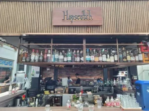 Bars in Singapore-Hopscotch