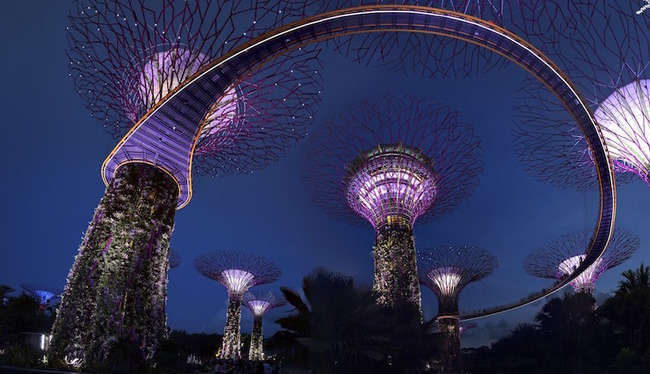 Bars in Singapore-SuperTree by IndoChine
