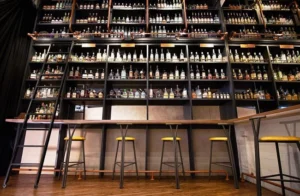 Bars in Singapore-The Secret Mermaid