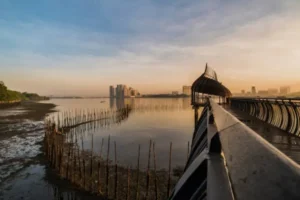 Места для посещения в Сингапуре-достопримечательности сингапура-Заповедник водно-болотных угодий Сунгей Булох (Sungei Buloh)