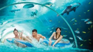 places to visit in Singapore: Adventure Cove Waterpark