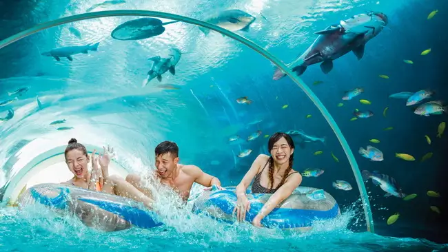 places to visit in Singapore: Adventure Cove Waterpark