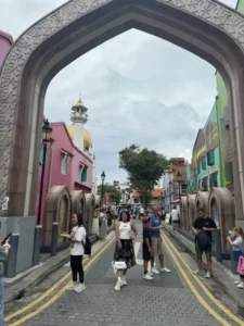 places to visit in singapore-Arab Street (Kampong Glam District)