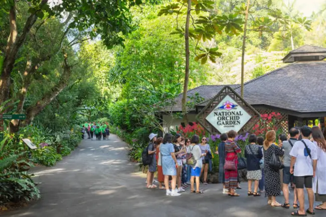 достопримечательности сингапура-Национальный сад орхидей