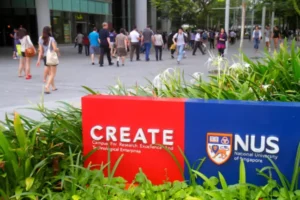 достопримечательности сингапура-Национальный университет Сингапура (NUS)