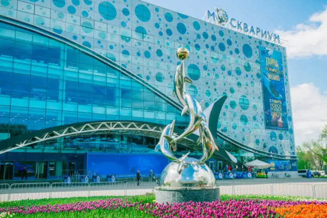 достопримечательности сингапура-Парк морской жизни Океанариум