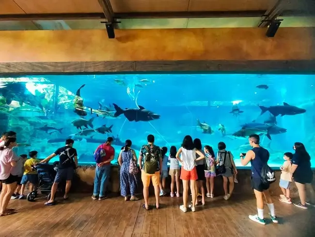 places to visit in Singapore: River Safari Zoo