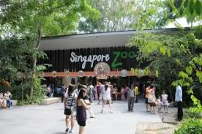 places to visit in singapore-Singapore Zoo