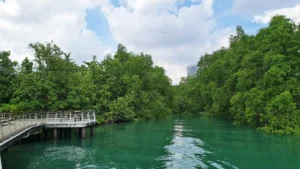 Beaches in Singapore-Labrador Nature Reserve Beach