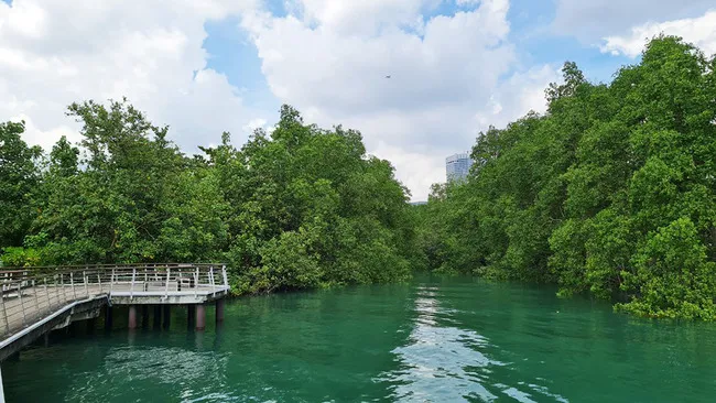 Beaches in Singapore-Labrador Nature Reserve Beach