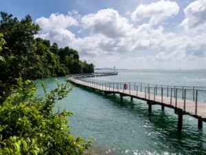 Beaches in Singapore-Pulau Ubin Beaches